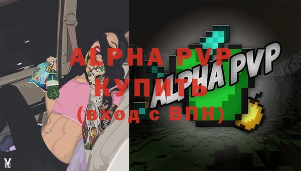 apvp Алзамай