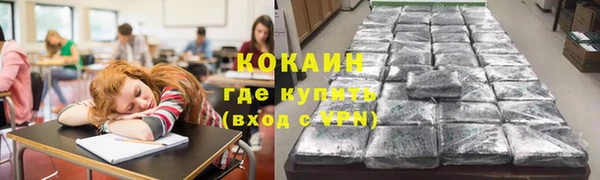 сатива Надым
