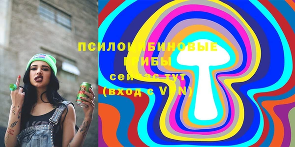 молекула духа Алексеевка