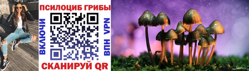 Галлюциногенные грибы MAGIC MUSHROOMS  это формула  Новоаннинский 